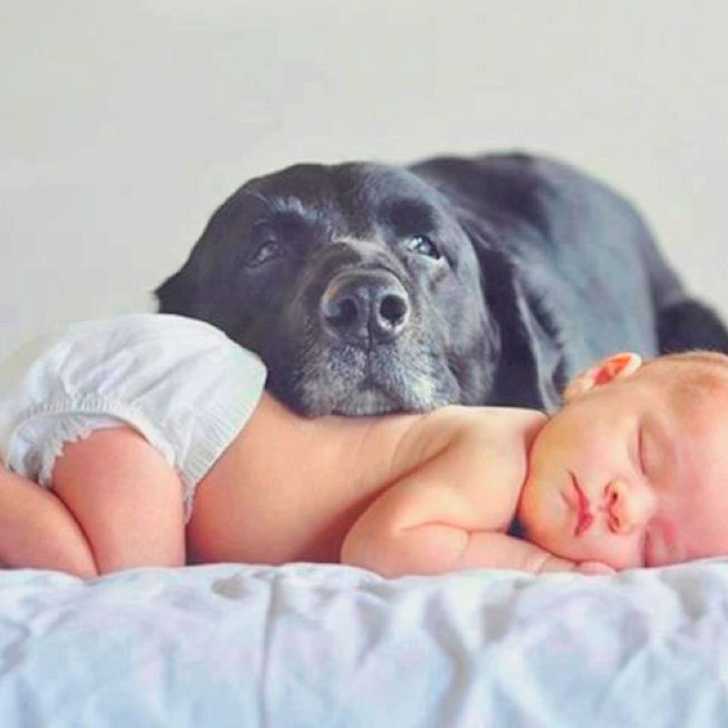 bebê com cachorrinho