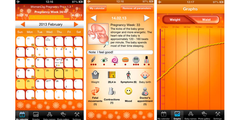 Calendário WomanLog Pregnancy